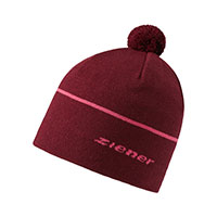 ICTIVO hat berry 